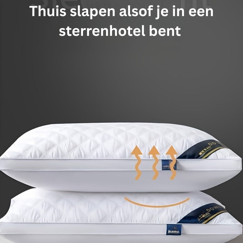 Ensemble de Confort de Sommeil - 2 Oreillers Hypoallergéniques 3D pour un Sommeil de Qualité Hôtelière