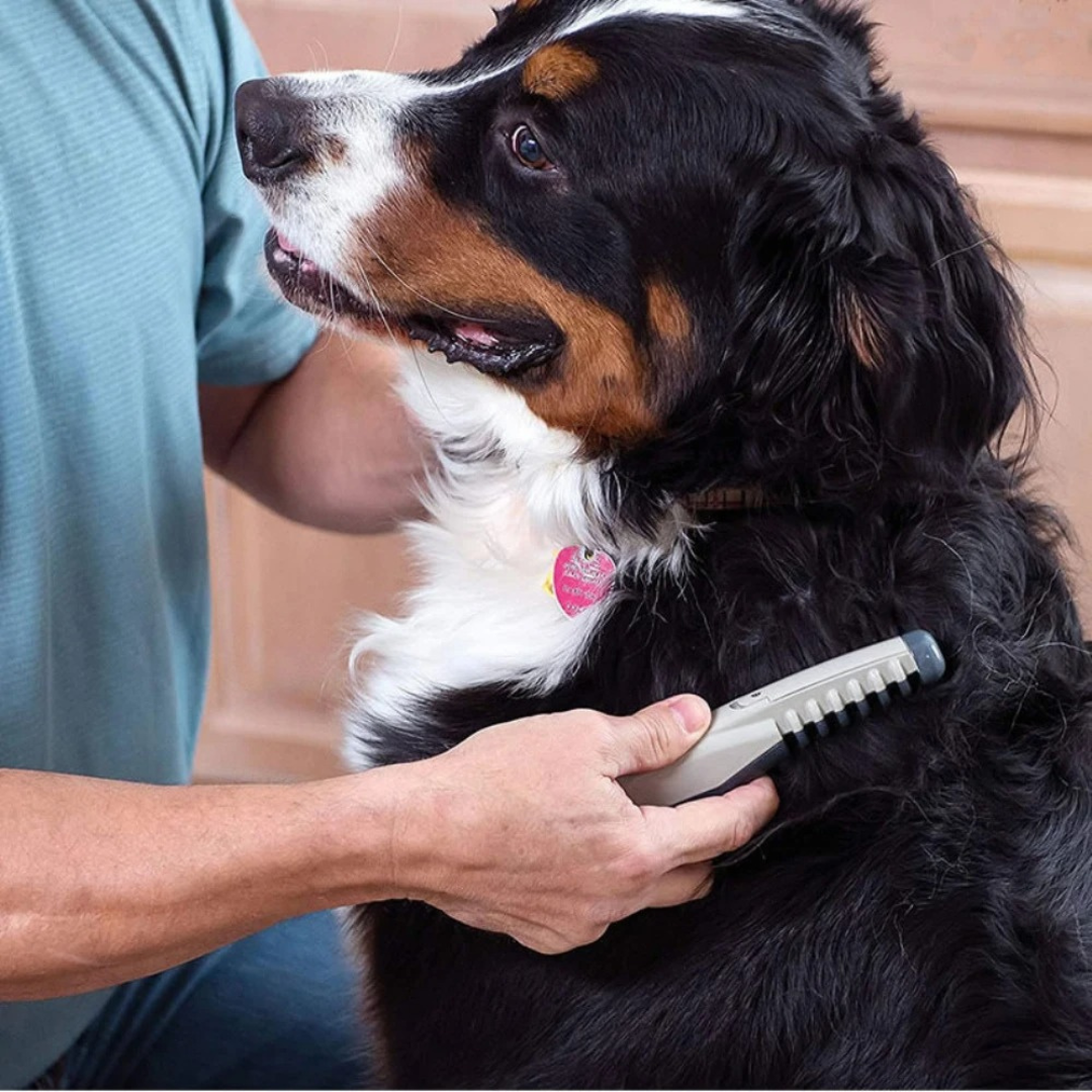 Fellona Tondeuse pour Animaux sans Nœuds | Toilettage sans douleur pour chiens et chats | Convient à tous les types de pelage