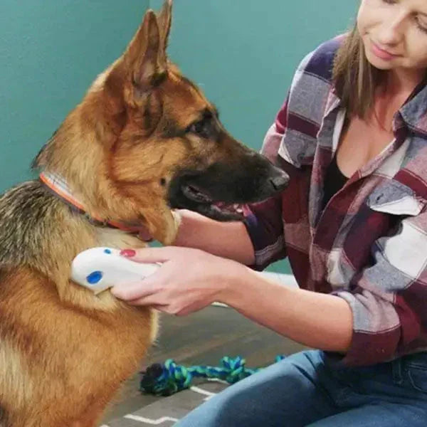Éliminateur de puces électrique pour animaux de compagnie – FleaZap